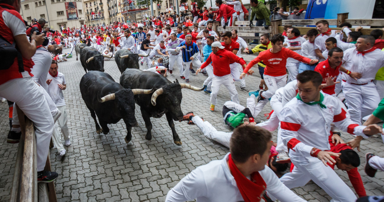 Makabryczna śmierć byka. Hiszpanie protestują przeciwko tradycji