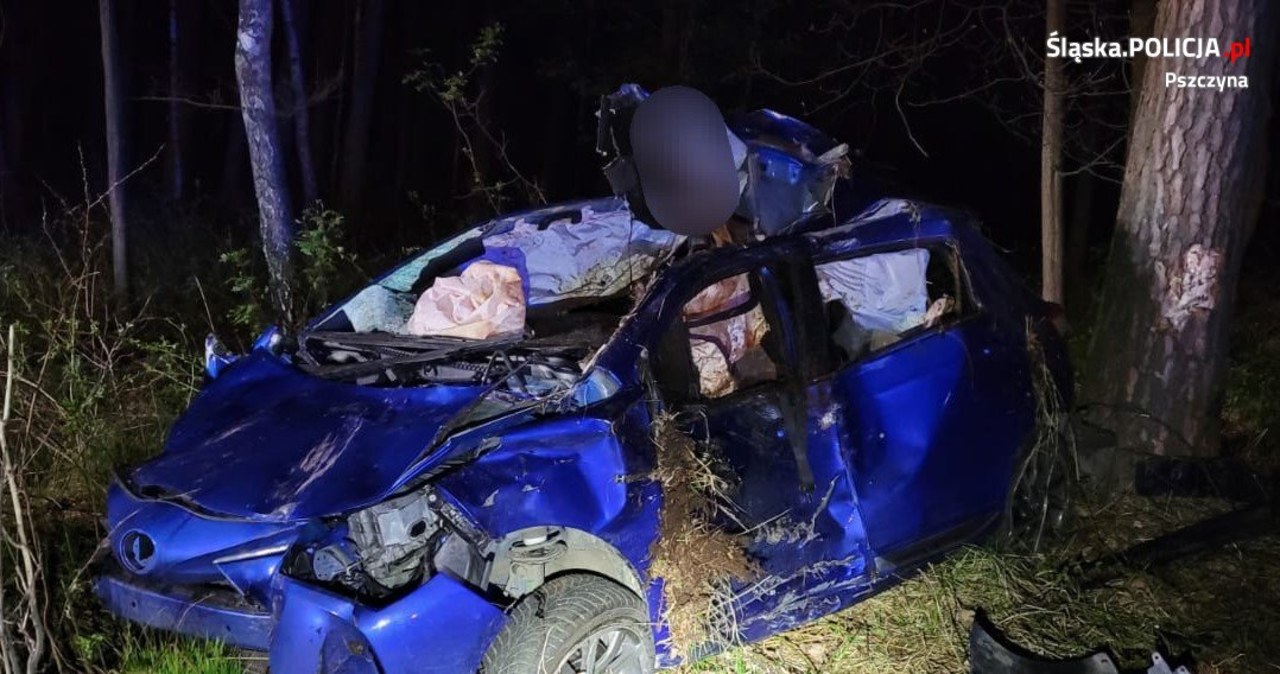 Łoś wybiegł na drogę. Auto zmiażdżone, kobieta poważnie ranna
