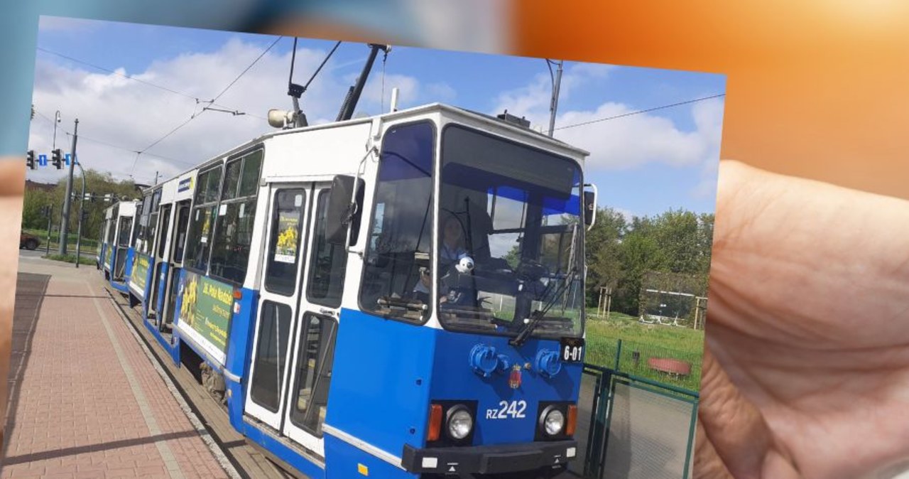 Żonkilowy tramwaj jeździ po Krakowie. Zachęca do wspierania hospicjum