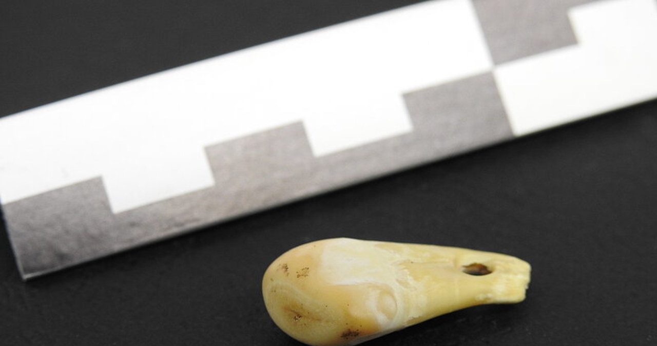 DNA kobiety na wisiorku sprzed 20 tys. lat