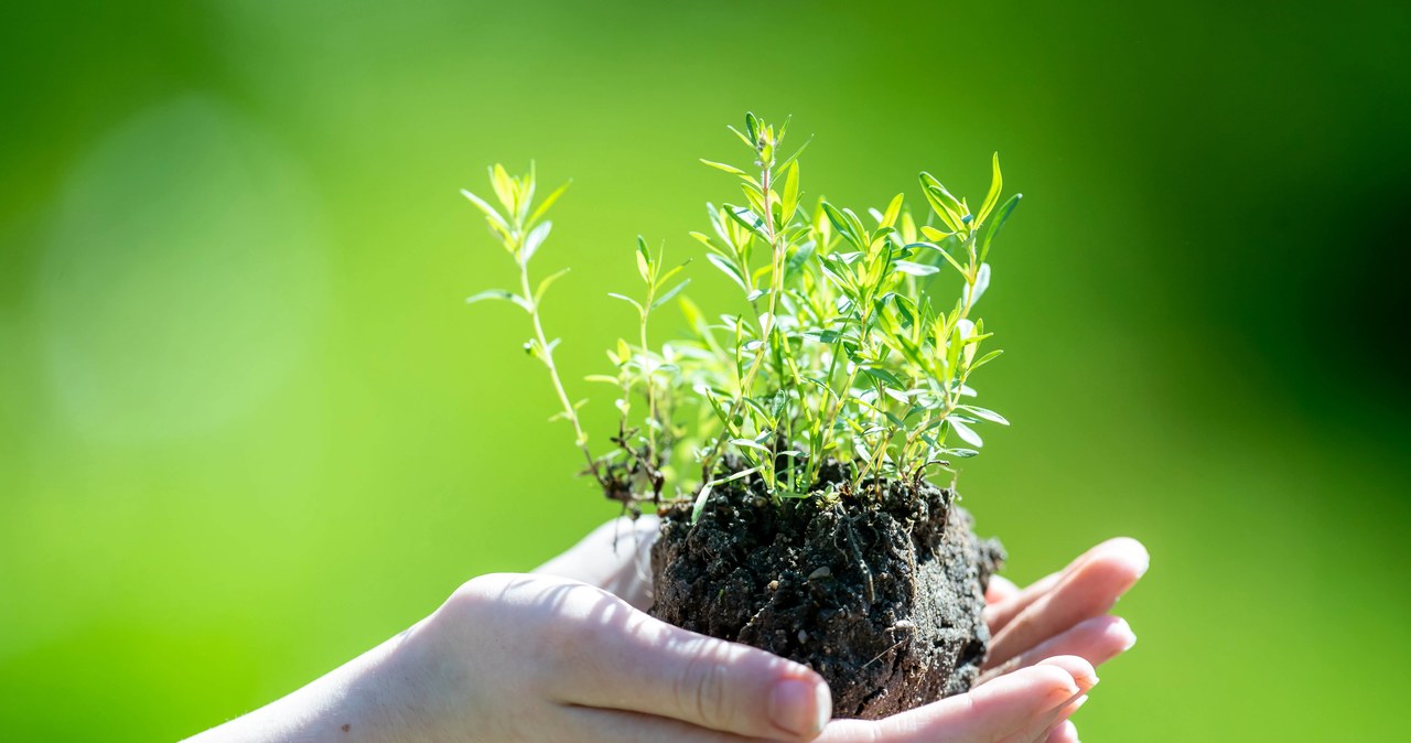 Ekopoukładani – stołeczny ratusz zachęca do recyclingu