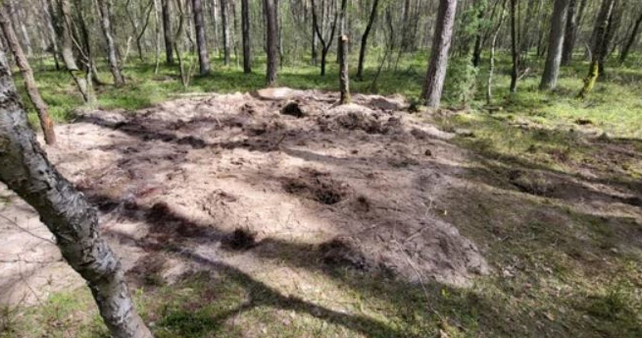 Zamieszanie z rosyjską rakietą znalezioną koło Bydgoszczy. Co z decyzjami personalnymi?