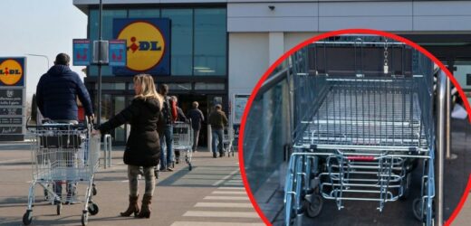 Wózki w Lidlu mają ukrytą funkcję. Z pewnością o niej nie wiedziałeś