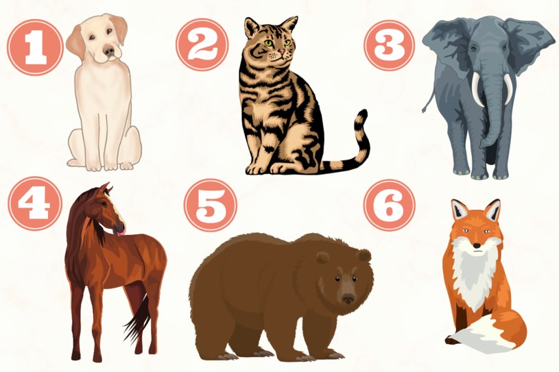 Test osobowości: Z którym zwierzęciem się utożsamiasz? Odpowiedź zdradzi cechy twojego charakteru