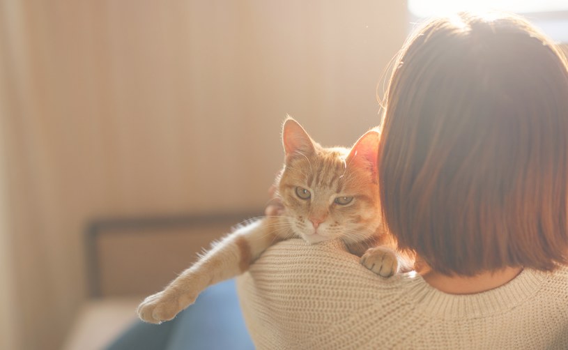 Na jak długo możemy zostawić kota samego? Po tym czasie zaczyna się denerwować
