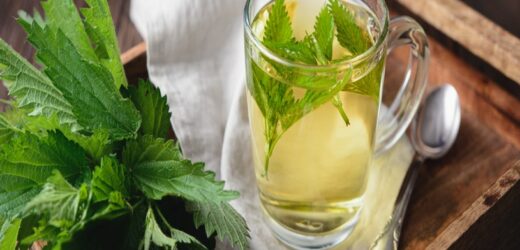 Herbata z pokrzywy jest zdrowa, ale nie dla każdego. W tych sytuacjach lepiej jej unikaj