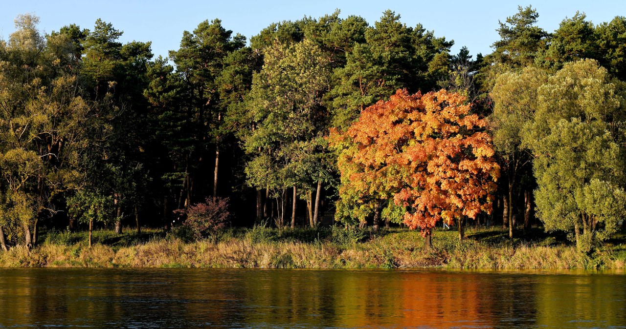 W Jarosławiu rozpoczęła się budowa nowego mostu przez San