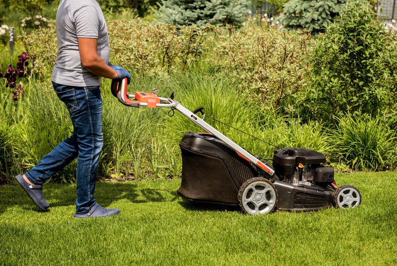 Marzysz o gęstym i zielonym trawniku? Tak nigdy nie koś trawy
