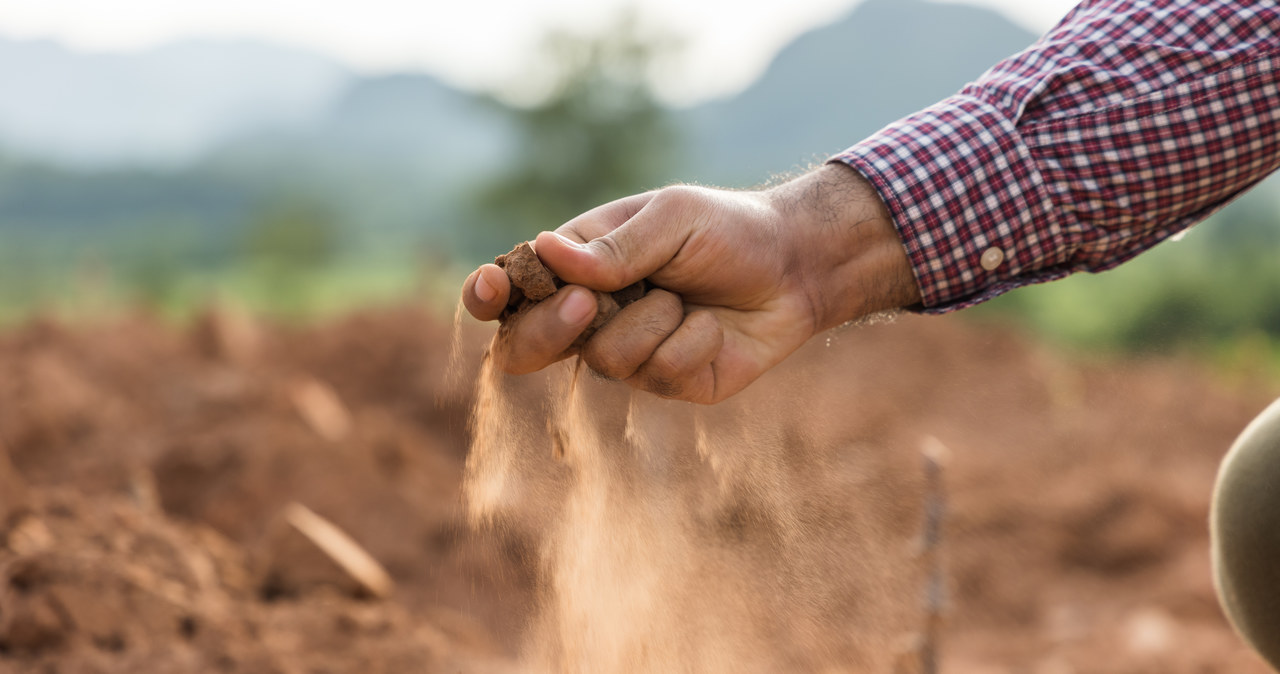 Rolnicy na południu Europy przygotowują się na suszę