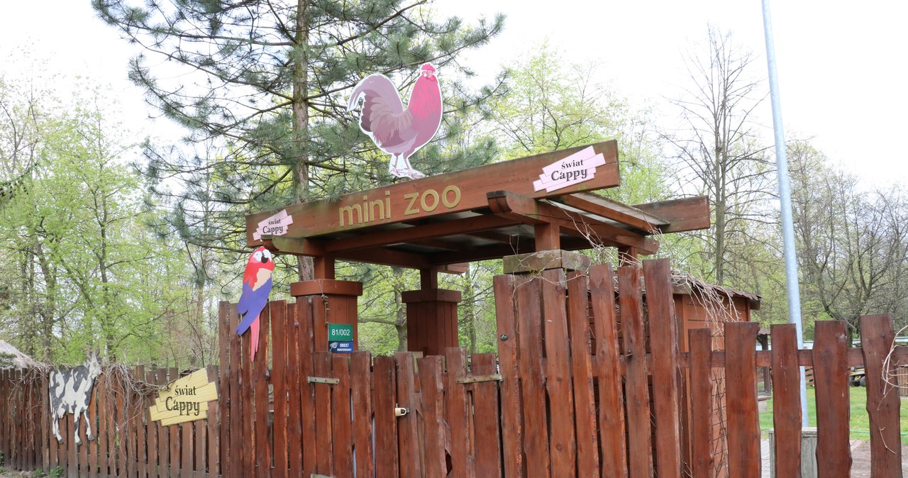 Mini zoo w chorzowskim ogrodzie kończy swoją działalność