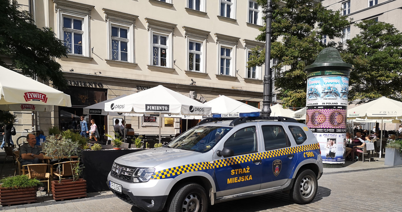 Aktywiści proponują powstanie nowego wydziału straży miejskiej