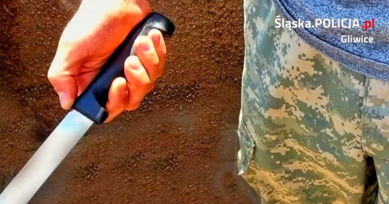 ​Nastolatek napadł na nastolatka. Sprawcę zatrzymał policjant po służbie