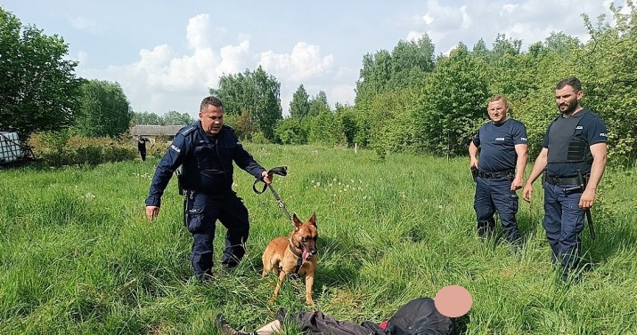 Z widłami na policjantów. Funkcjonariusze użyli paralizatora