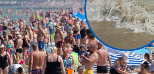 Ranking najbardziej zatłoczonych plaż nad Bałtykiem. „Turyści tworzą labirynty z parawanów i dotarcie do morza graniczy z cudem. Ludzi tam jak mrówek”