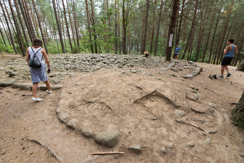 Zagadkowe miejsce na mapie Polski. Las na Kaszubach skrywa tajemniczy krąg