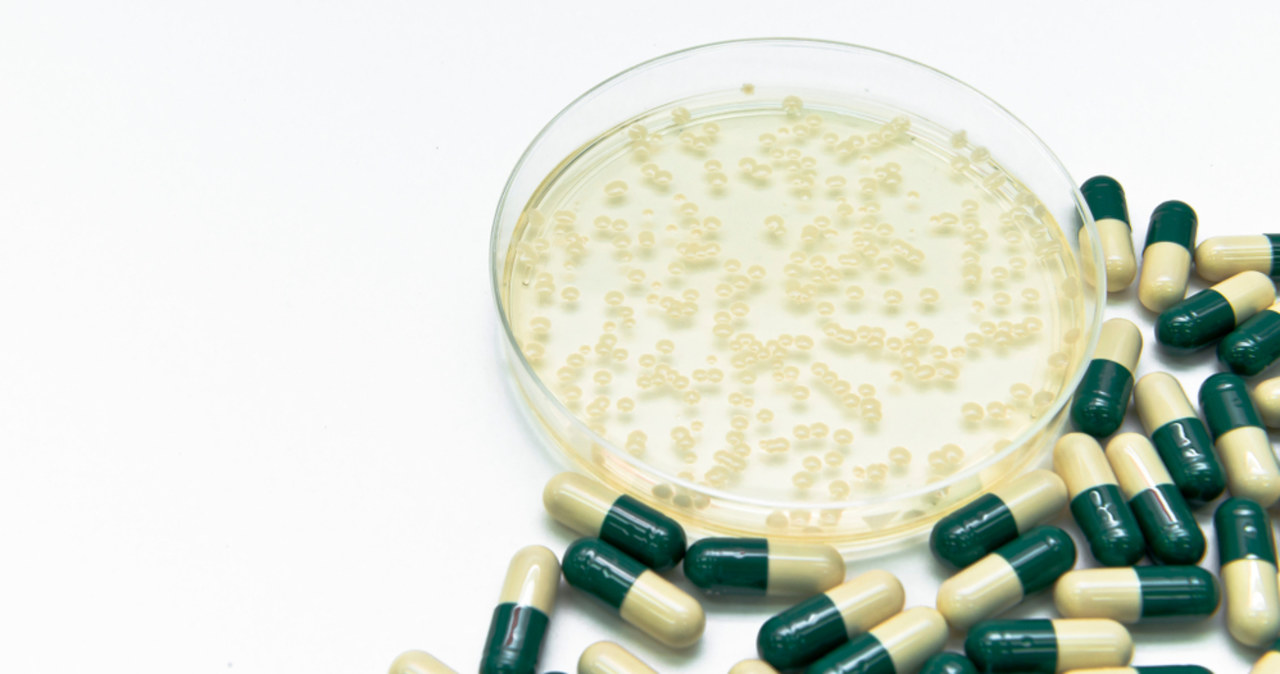 Dzięki sztucznej inteligencji odkryto antybiotyk na superbakterię