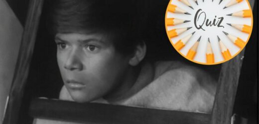 QUIZ: Sprawdź swoją wiedzę na temat serialu „Wakacje z duchami”. Pamiętają tylko dzieci PRL-u