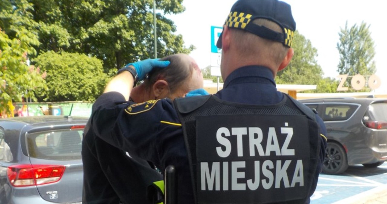 Bójka w okolicy stołecznego zoo z użyciem siekiery i… widelca