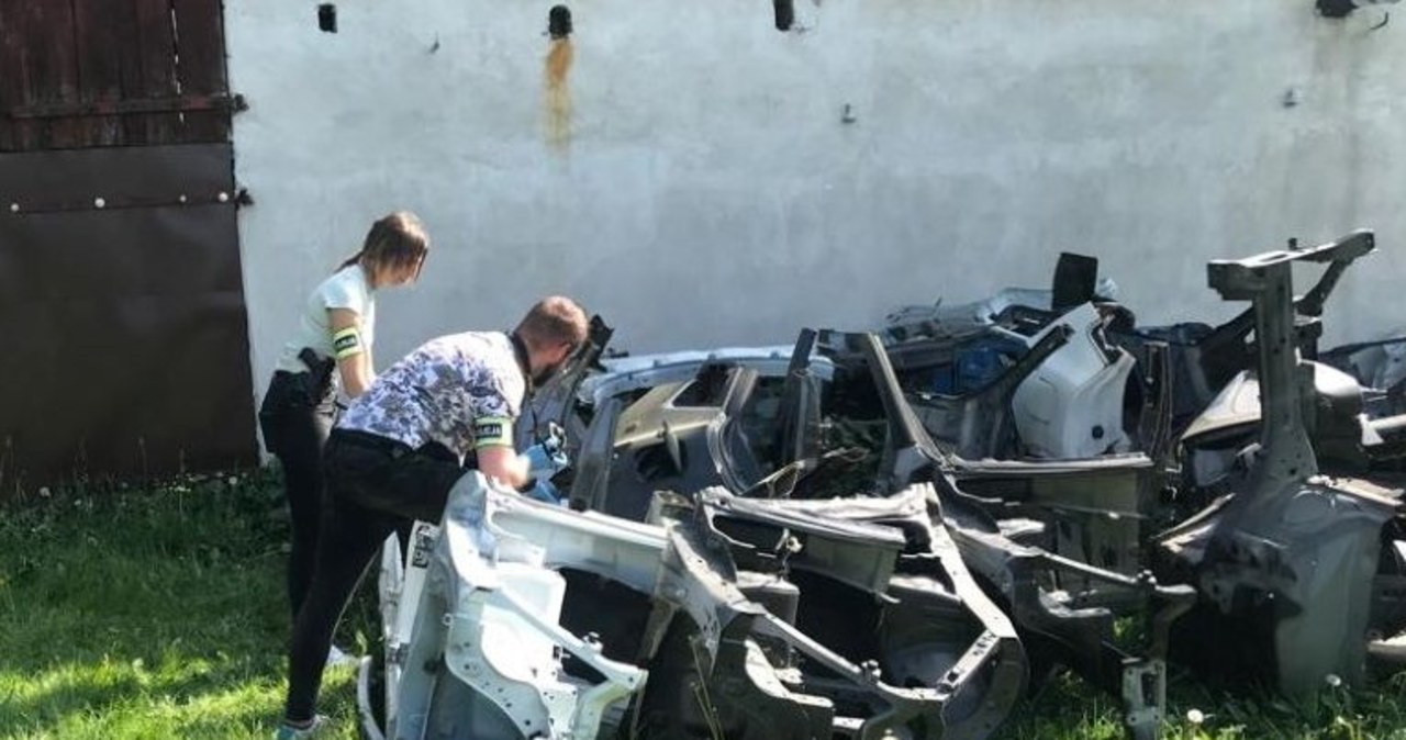 Części za pół miliona złotych. Policjanci zlikwidowali dziuplę samochodową