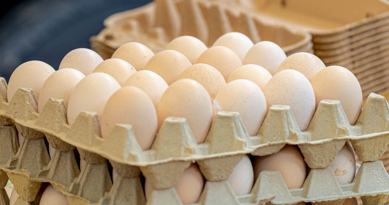 Salmonella na skorupkach jaj. GIS ostrzega