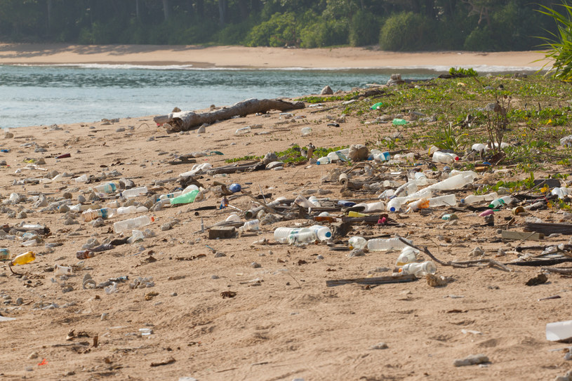 Ekolodzy wskazali najbrudniejsze plaże w Hiszpanii. Śmieci, wycieki chemiczne i psie odchody to początek
