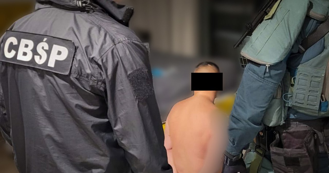 Przemycali narkotyki w ziemniakach. Gang „Kamela” rozbity
