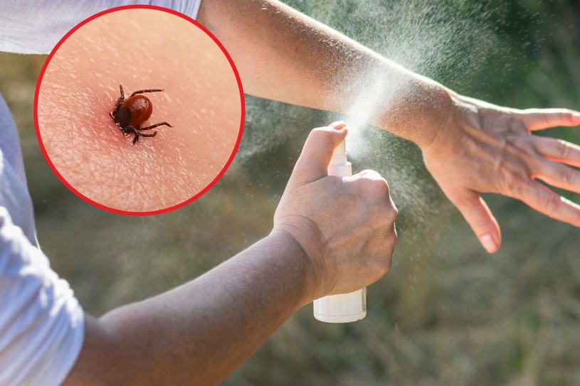 Zmieszaj z wodą i spryskaj ciało. Kleszcze będą trzymały się od ciebie z daleka