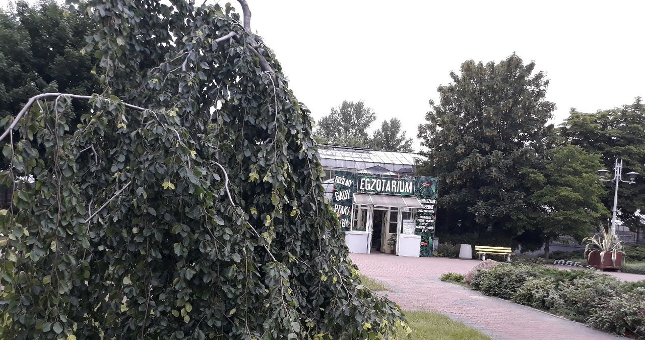 Sosnowiec zyskał ogród botaniczny