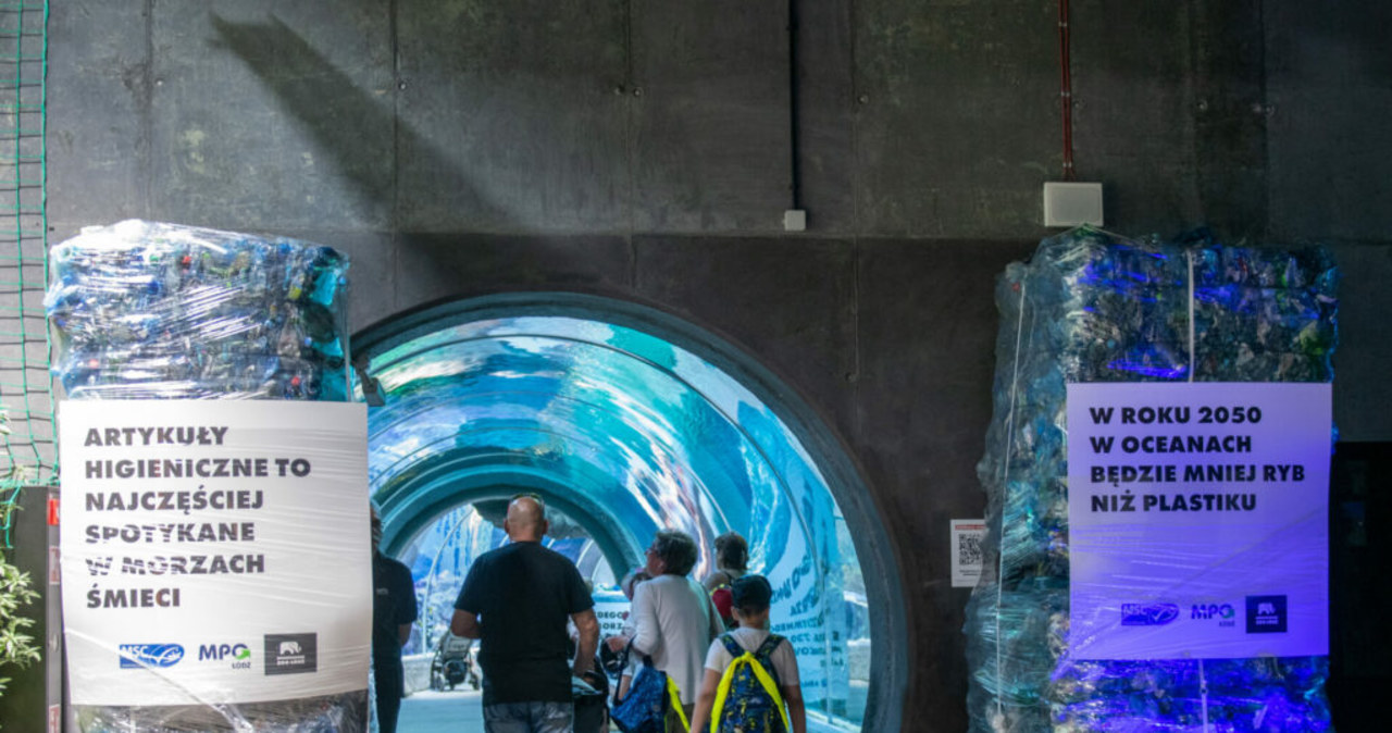 Światowy Dzień Oceanów. Instalacja z odpadów w łódzkim Orientarium
