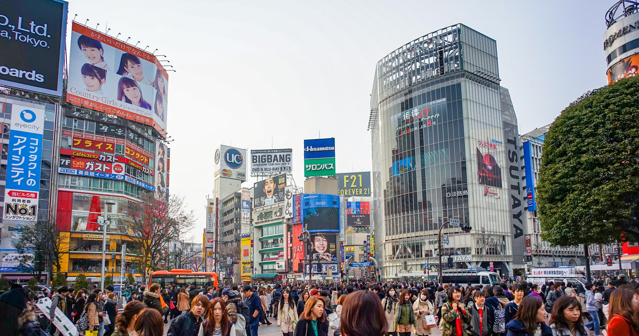 Korea zakaże konsumpcji psiego mięsa? Producenci protestują
