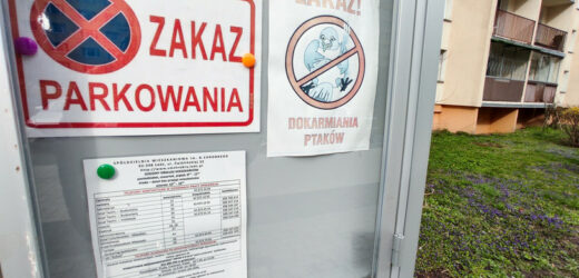 Czy możesz parkować pod posesją sąsiada? Sprawdź, zanim spotkają cię nieprzyjemności