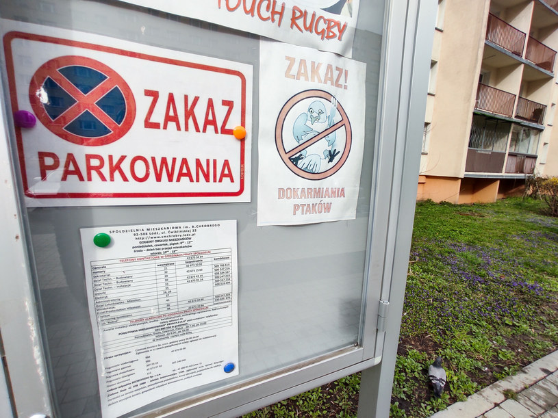 Czy możesz parkować pod posesją sąsiada? Sprawdź, zanim spotkają cię nieprzyjemności