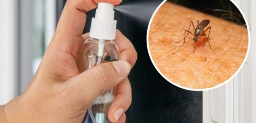 Wymieszaj i spryskaj okna oraz drzwi. Komary i muchy natychmiast zrobią w tył zwrot