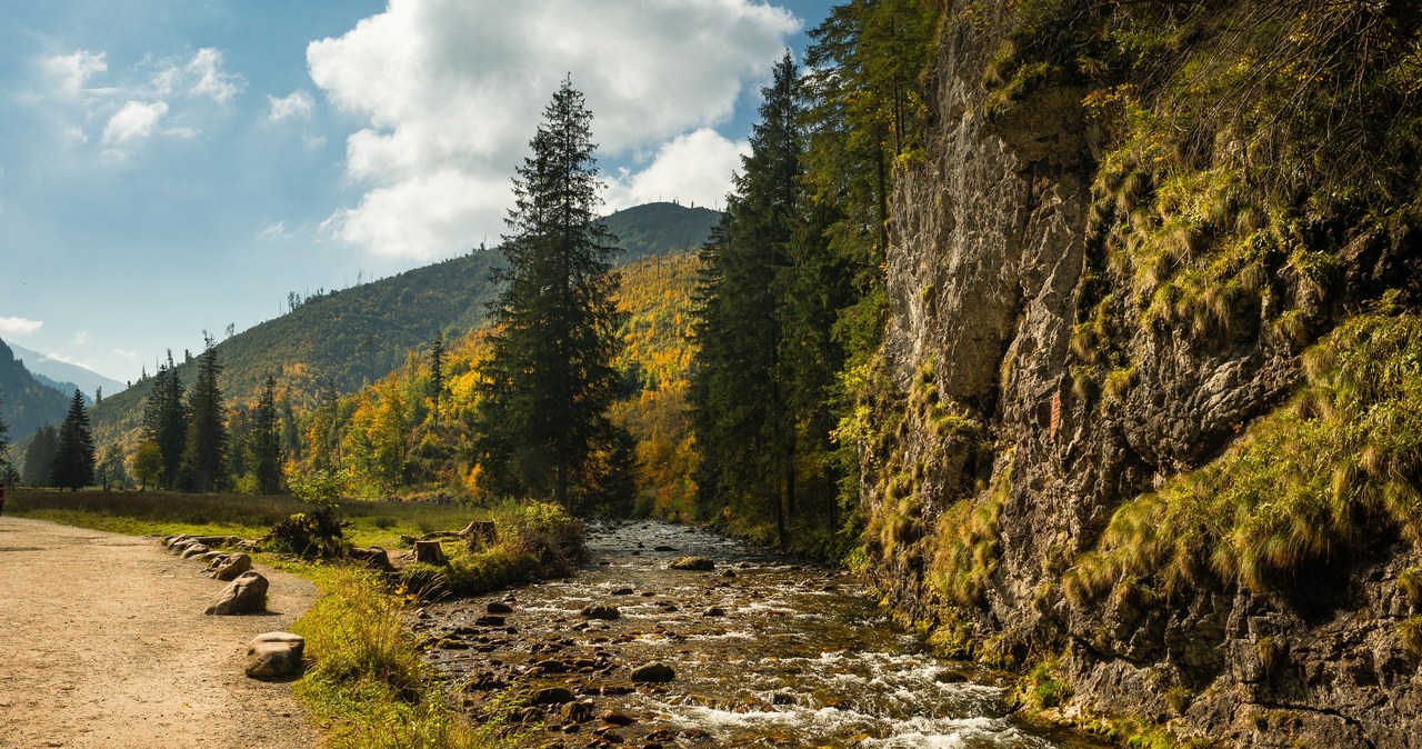 Wybierasz się w Tatry? Od jutra utrudnienia w Dolinie Kościeliskiej