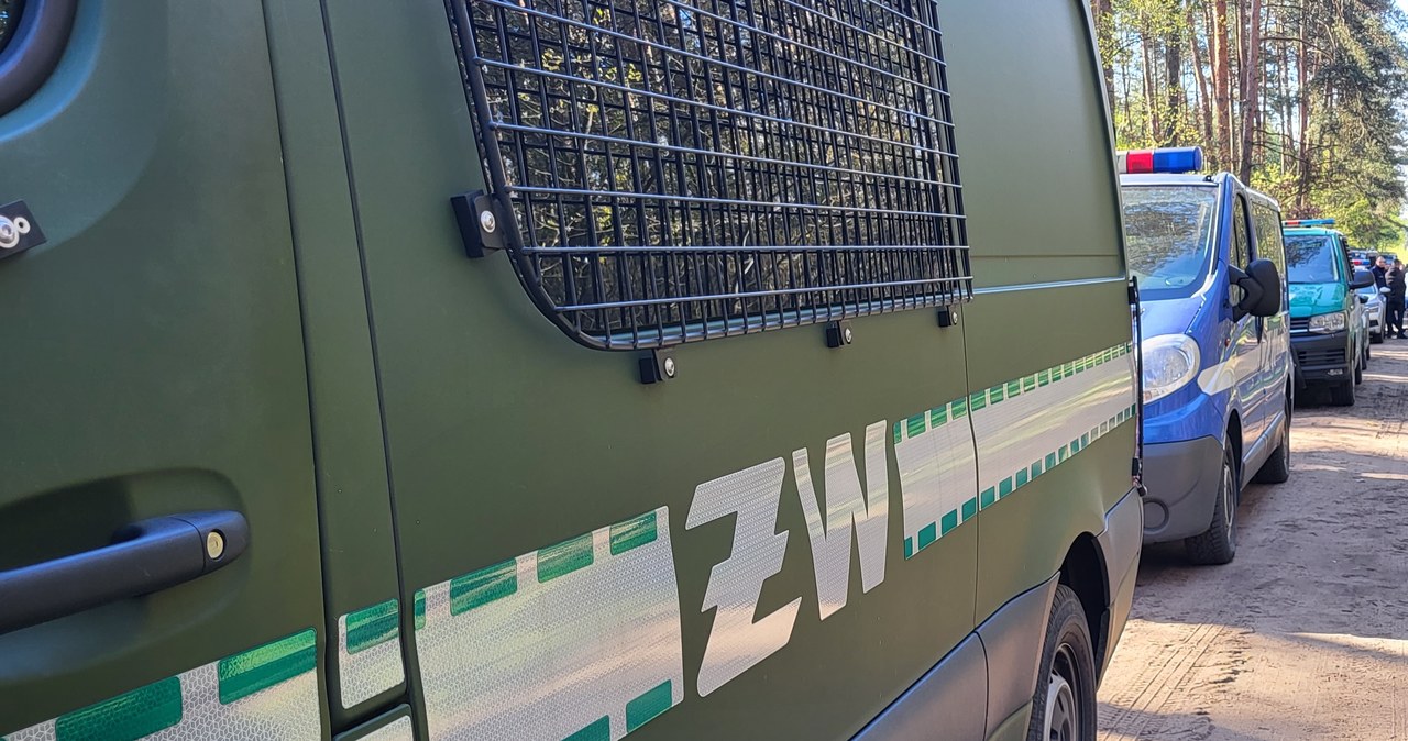 Wybuch w lesie pod Radomiem. Rzecznik rządu uspokaja
