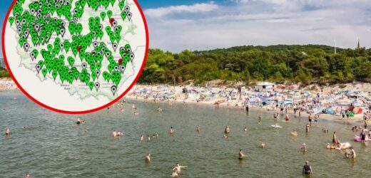 Sinice znów atakują. Zamknięto niektóre kąpieliska. Które plaże są otwarte i bezpieczne?