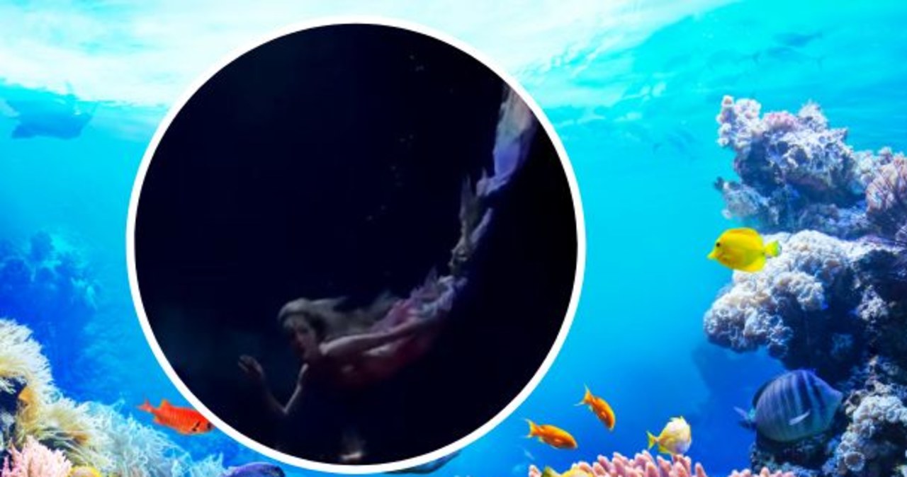 Zatańcz z morską syreną! Dyskoteka w wielkim paryskim akwarium