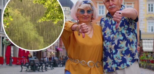 5 rzeczy, które denerwują Polaków na urlopie. Jak ich uniknąć? Sprawdzone sposoby