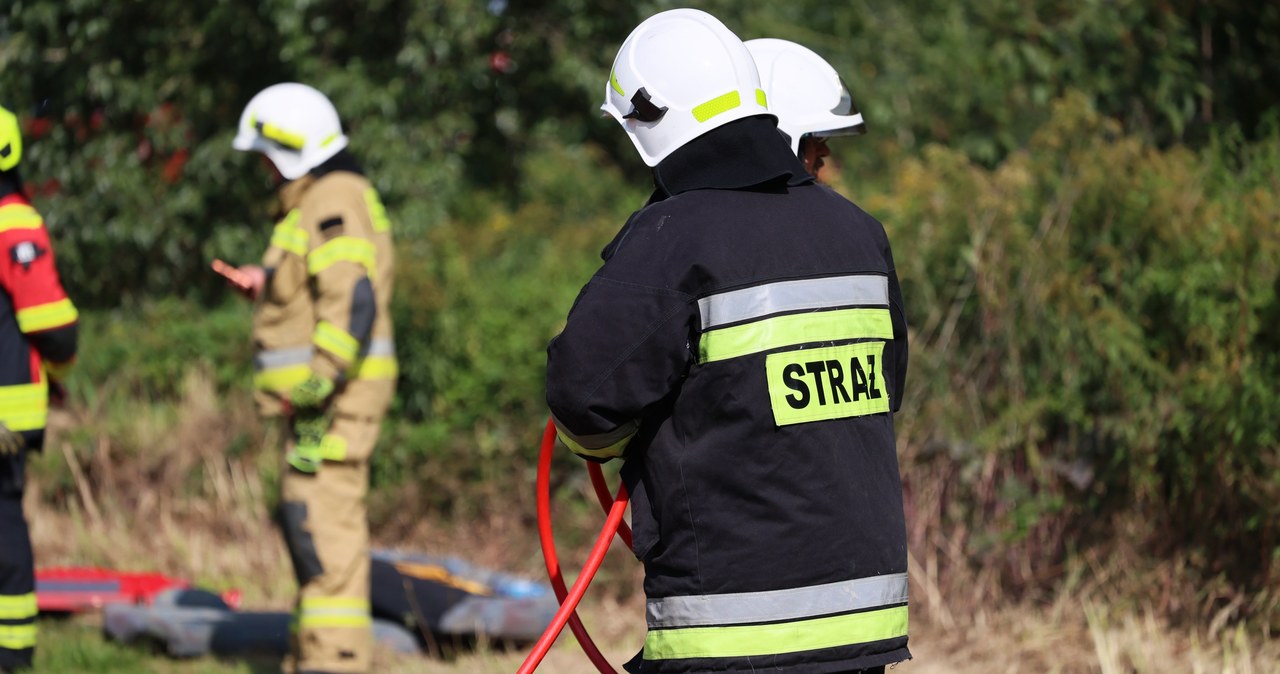 Polscy strażacy jadą do Francji. Będą się szkolić w gaszeniu pożarów lasów