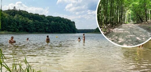 Polska na własne oczy: lato w Wielkopolskim Parku Narodowym. Czyste jeziora, bujne lasy i masa atrakcji