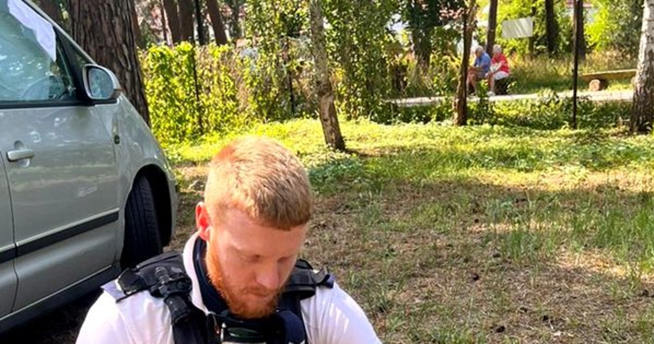 Dwa psy w nagrzanym samochodzie