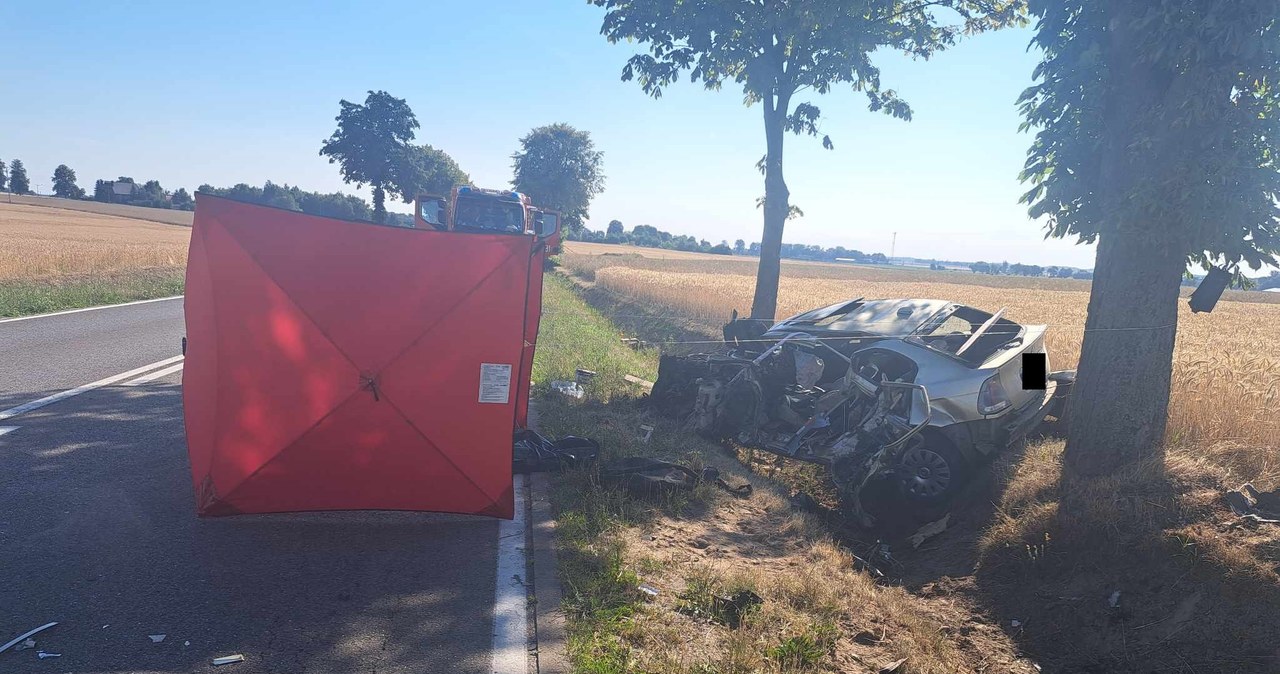 Śmiertelny wypadek koło Płocka. Nie żyje 23-latek