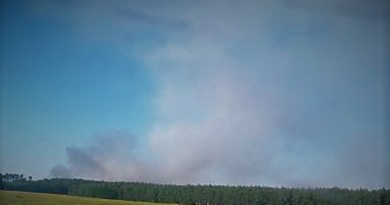 Płoną hektary zboża w Lubuskiem. W akcji samolot gaśniczy