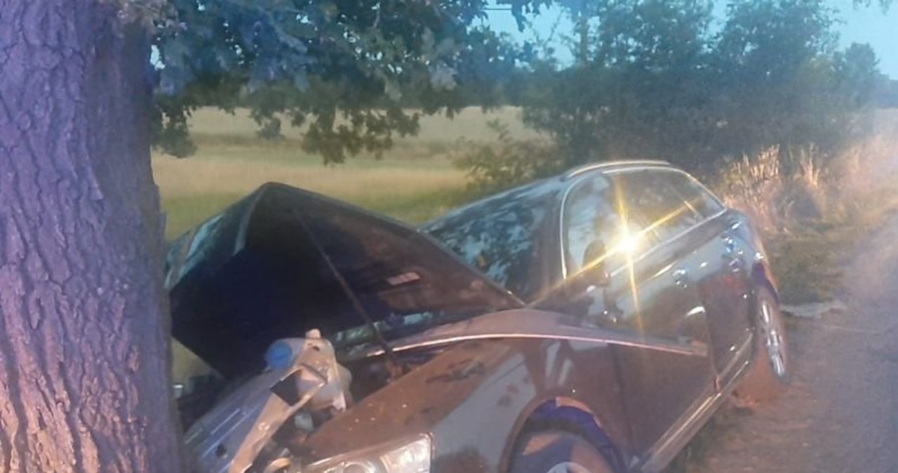 Nastolatkowie ukradli i rozbili auto