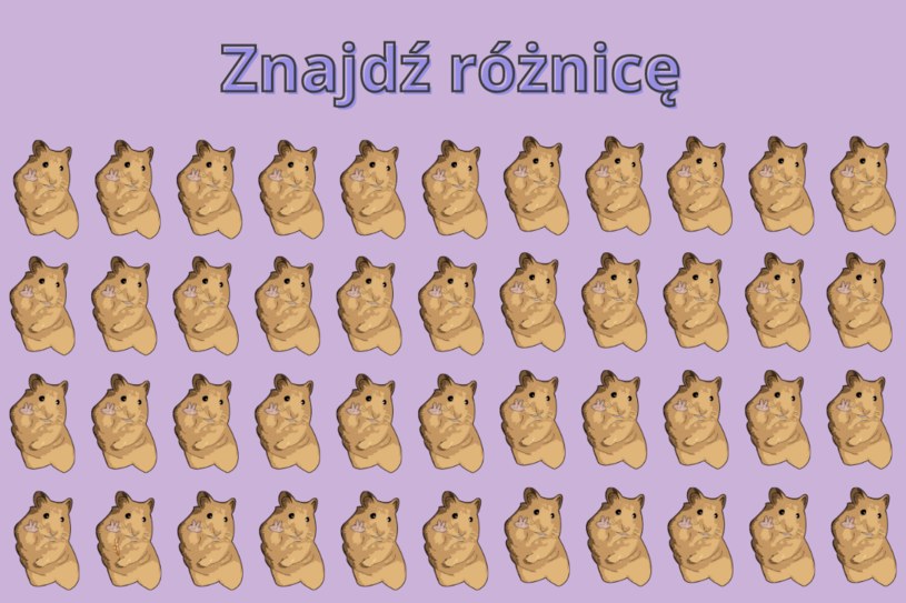 Test na spostrzegawczość. Tylko 10% umie rozwiązać tę zagadkę