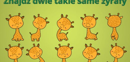 Czy uda ci się znaleźć dwie takie same żyrafy? Trudny test na spostrzegawczość