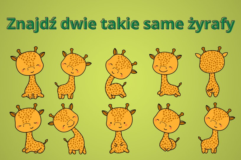 Czy uda ci się znaleźć dwie takie same żyrafy? Trudny test na spostrzegawczość
