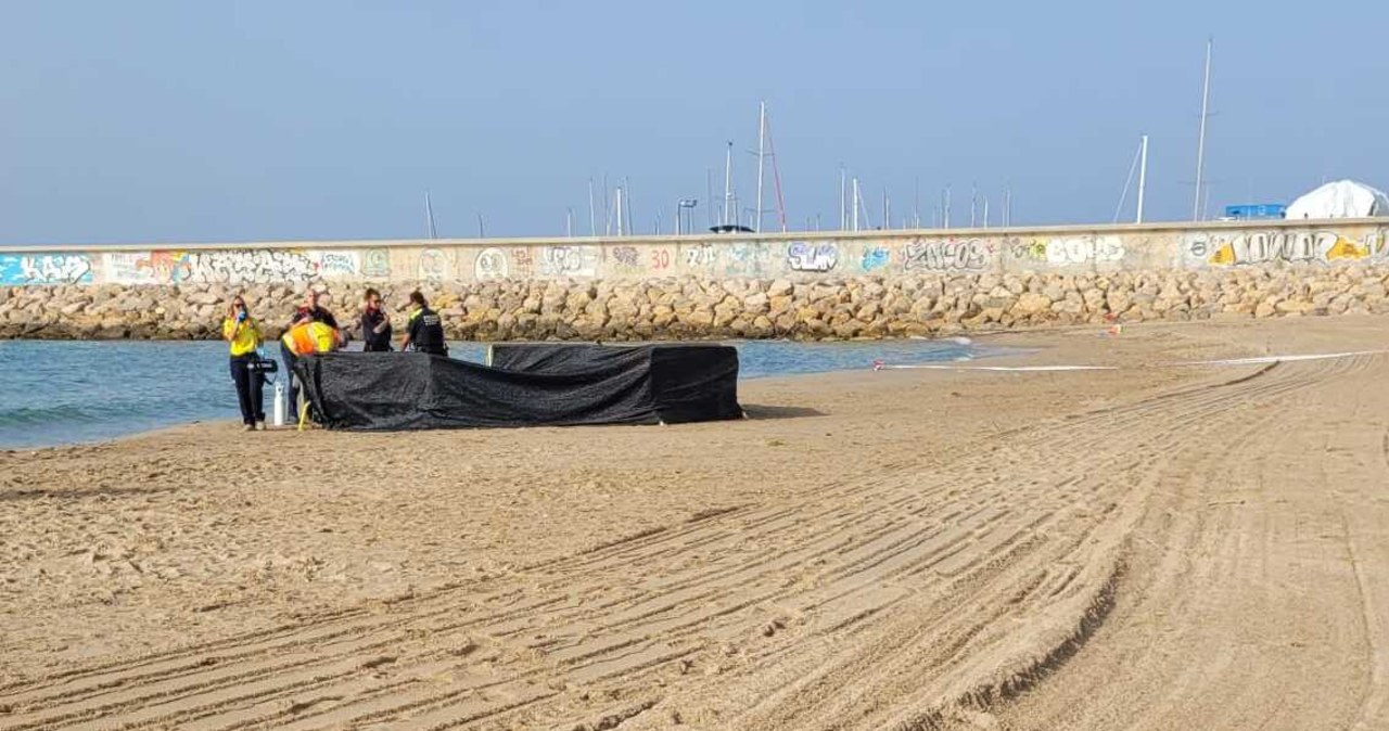 Horror na plaży w Hiszpanii. Znaleziono zwłoki dziecka bez głowy