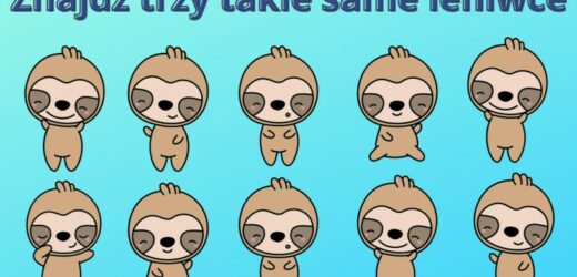 Test na spostrzegawczość: Czy znajdziesz 3 takie same leniwce na obrazku? Trudno je dostrzec