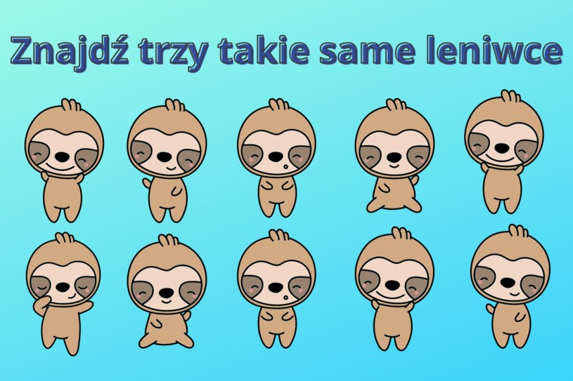 Test na spostrzegawczość: Czy znajdziesz 3 takie same leniwce na obrazku? Trudno je dostrzec